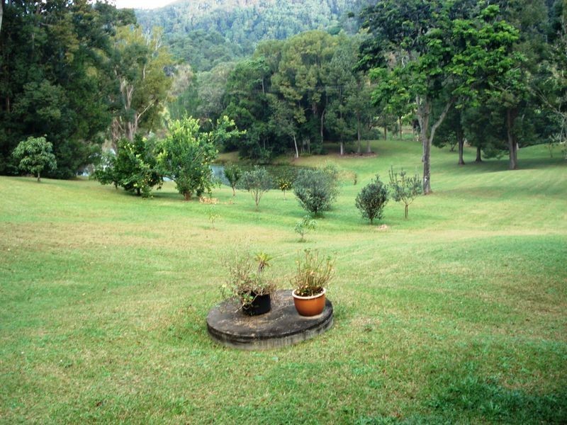 9 Blackbean Road, Wilsons Creek NSW 2482