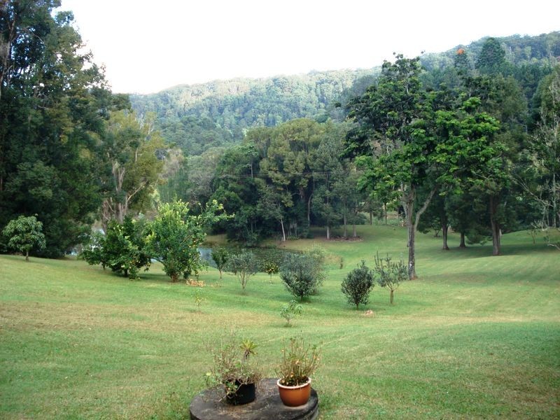 9 Blackbean Road, Wilsons Creek NSW 2482