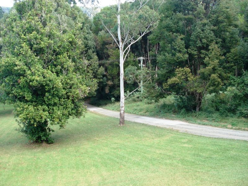 9 Blackbean Road, Wilsons Creek NSW 2482
