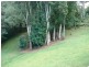 9 Blackbean Road, Wilsons Creek NSW 2482