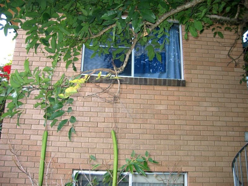 Top/1/27 Nana Street, Brunswick Heads NSW 2483