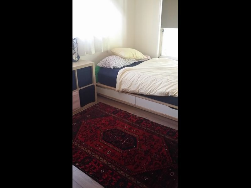 11 Halyard Court, Ocean Shores NSW 2483