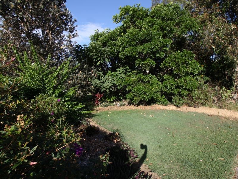 19 Rangal Road, Ocean Shores NSW 2483