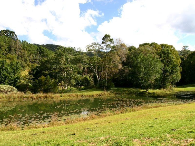 655 Wilsons Creek Road, Wilsons Creek NSW 2482