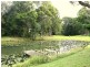 655 Wilsons Creek Road, Wilsons Creek NSW 2482