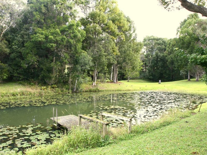 655 Wilsons Creek Road, Wilsons Creek NSW 2482