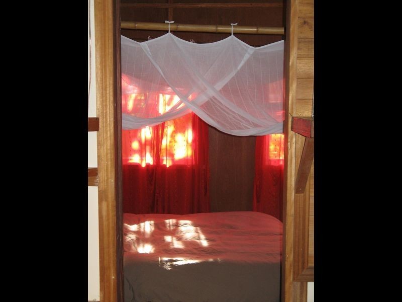 558 Middle Pocket, Billinudgel NSW 2483