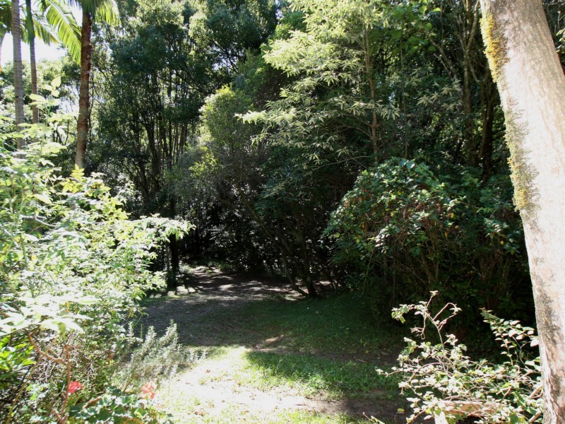 109 Pimble Valley Road, Crabbes Creek NSW 2483