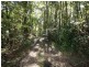 109 Pimble Valley Road, Crabbes Creek NSW 2483