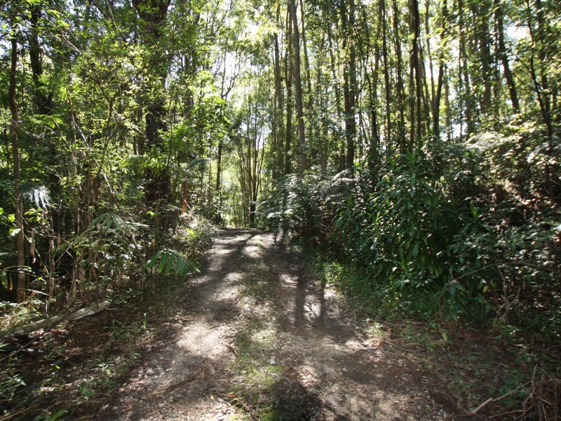 109 Pimble Valley Road, Crabbes Creek NSW 2483