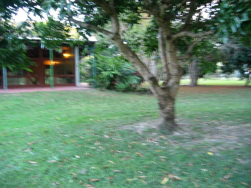 602 The Pocket Road, The Pocket NSW 2483