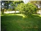 545 Left Bank Road, Mullumbimby NSW 2482