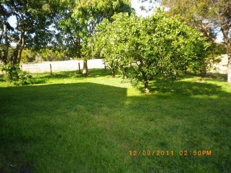 545 Left Bank Road, Mullumbimby NSW 2482