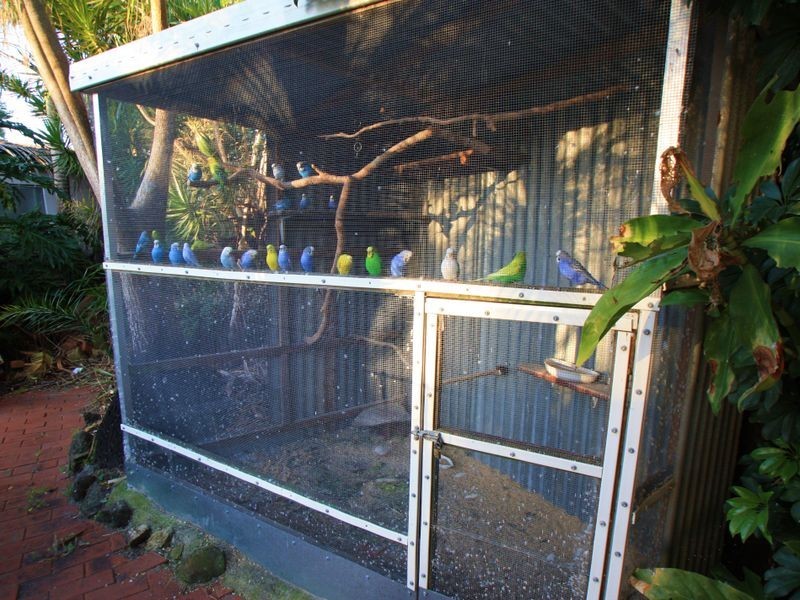 3 Teven Street, Brunswick Heads NSW 2483