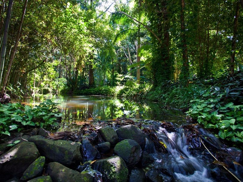 Billinudgel NSW 2483