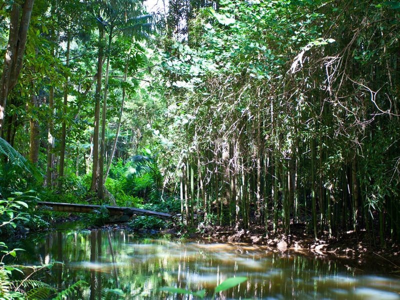 Billinudgel NSW 2483