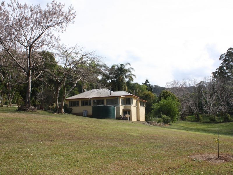 Wilsons Creek NSW 2482