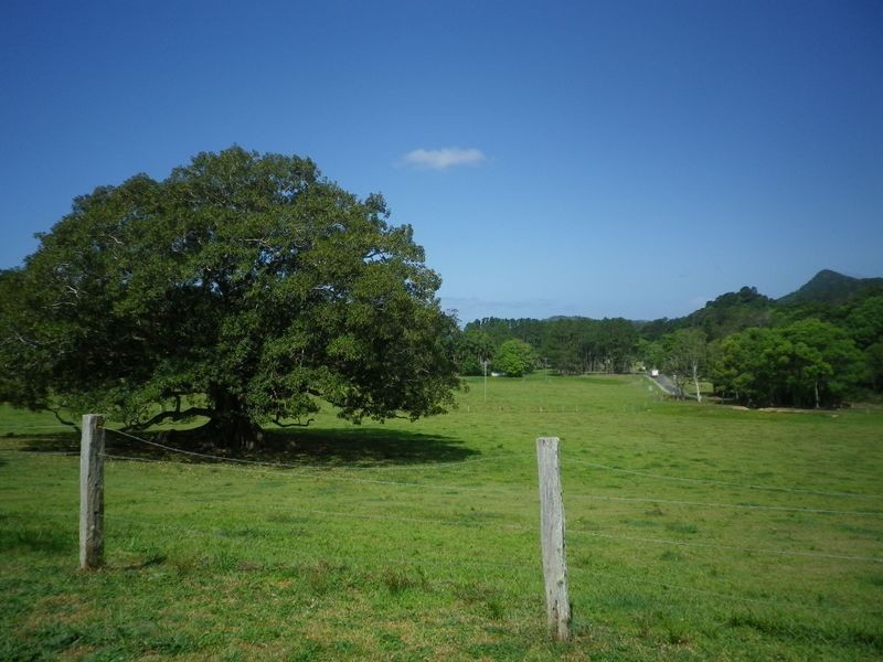 748 Pocket Road, The Pocket NSW 2483