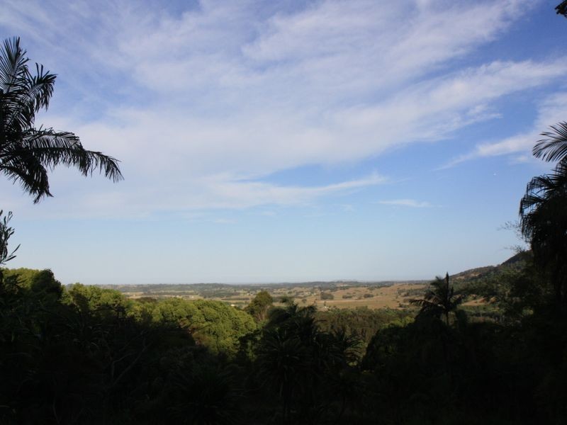 55 Bullgarra Springs Road, Wilsons Creek NSW 2482