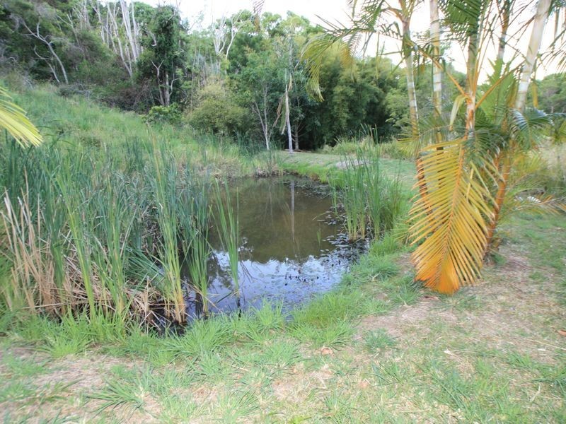 55 Bullgarra Springs Road, Wilsons Creek NSW 2482