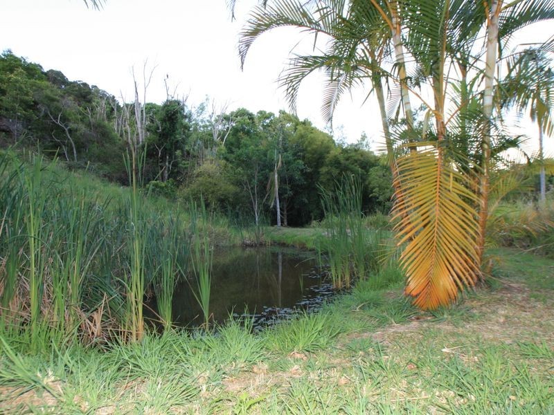 55 Bullgarra Springs Road, Wilsons Creek NSW 2482