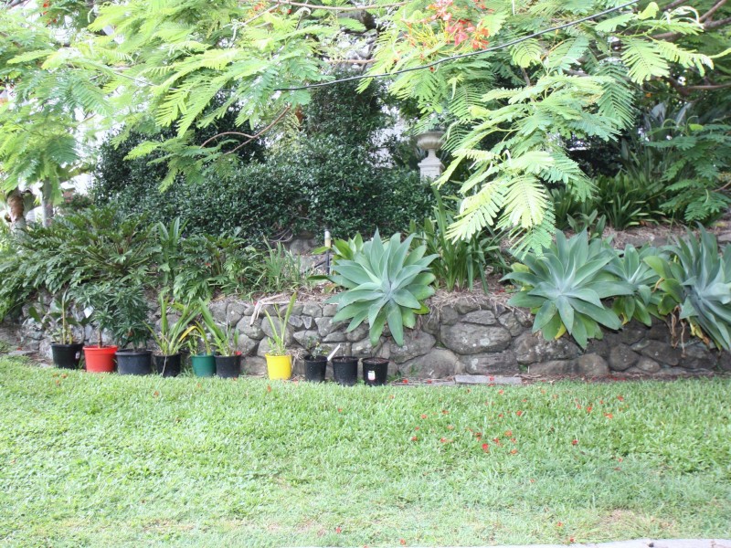 2 Nargoon Court, Ocean Shores NSW 2483