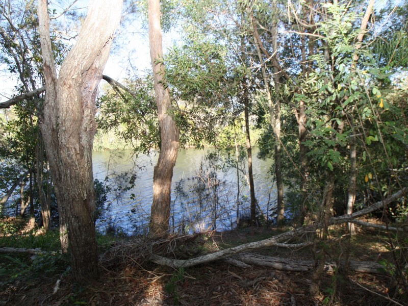 Elizabeth Avenue, South Golden Beach NSW 2483