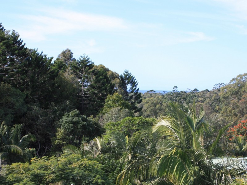 10 Warrambool Rd, Ocean Shores NSW 2483