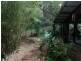 Wilsons Creek NSW 2482