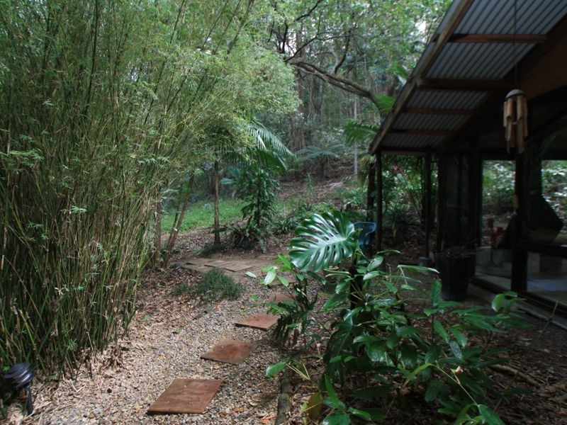 Wilsons Creek NSW 2482