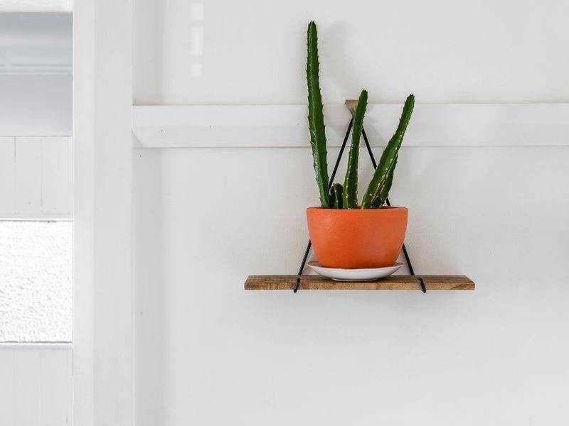 38 BOOYUN Street, Brunswick Heads NSW 2483