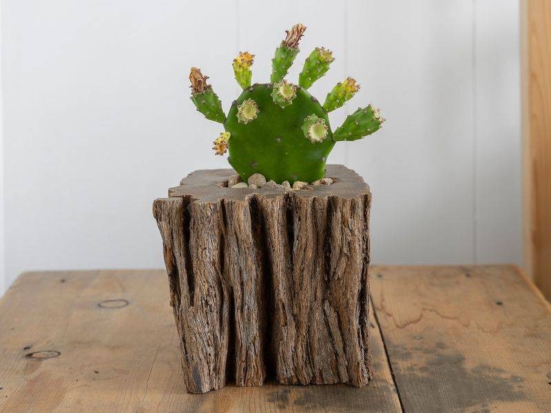 38 BOOYUN Street, Brunswick Heads NSW 2483