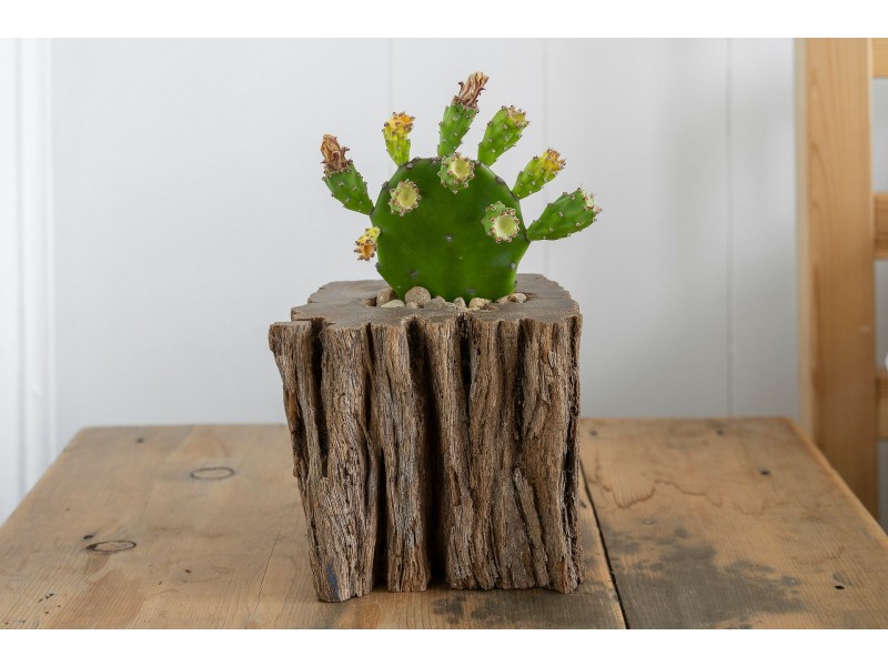 Brunswick Heads NSW 2483