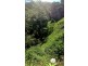 350 Blindmouth Road, Main Arm NSW 2482