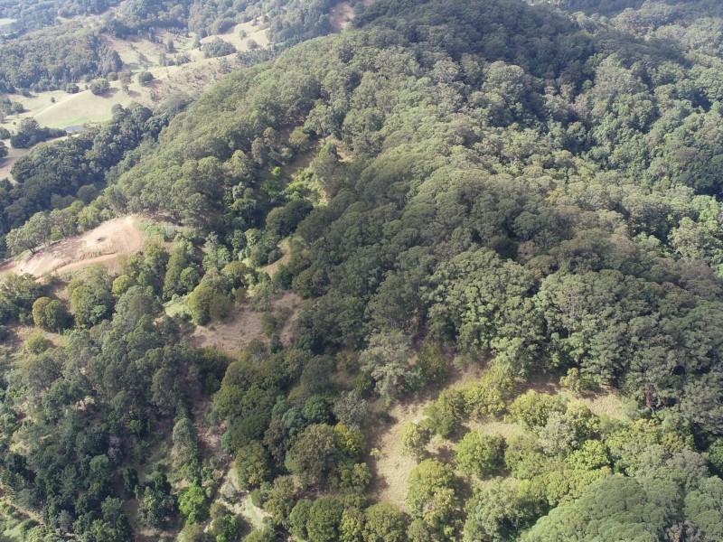 1/392325 The Pocket Road, The Pocket NSW 2483