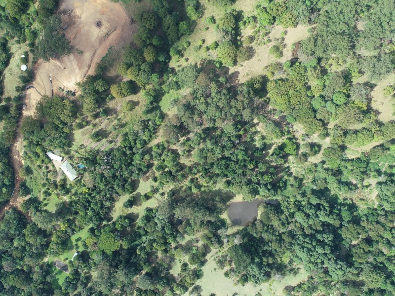 1/392325 The Pocket Road, The Pocket NSW 2483