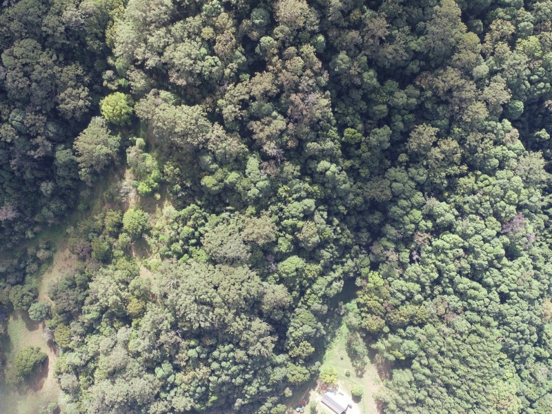 1/392325 The Pocket Road, The Pocket NSW 2483