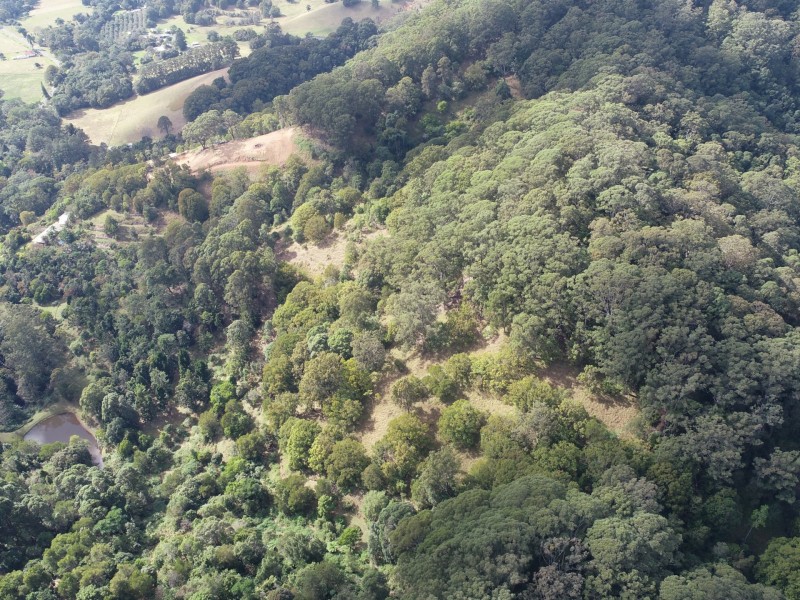 1/392325 The Pocket Road, The Pocket NSW 2483