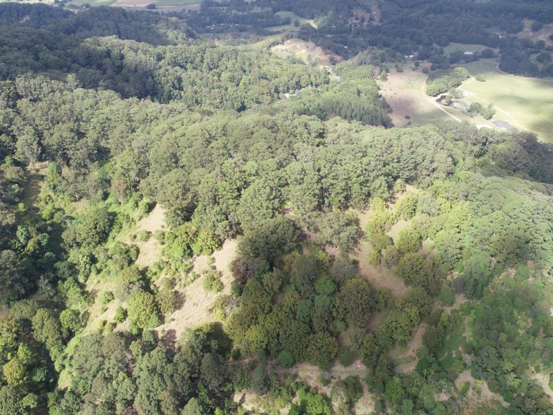 1/392325 The Pocket Road, The Pocket NSW 2483