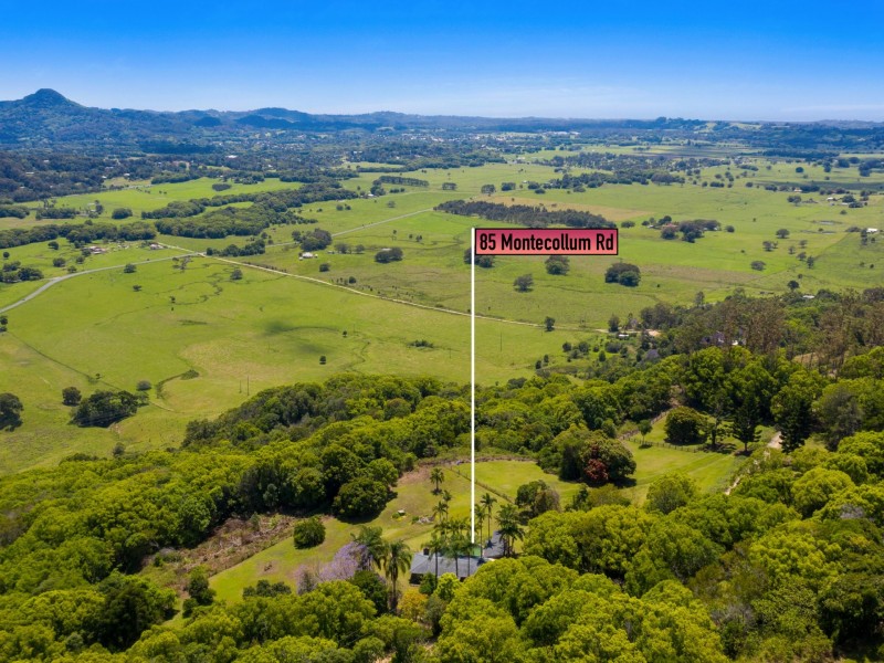 85 Montecollum RD, Wilsons Creek NSW 2482