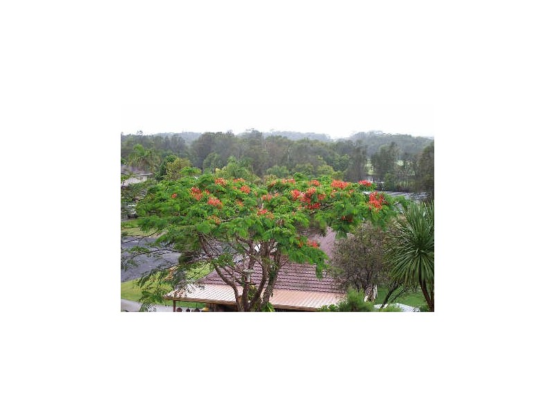 2A Wilpy Place, Ocean Shores NSW 2483