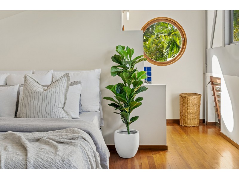 43 Synotts Lane, Ocean Shores NSW 2483