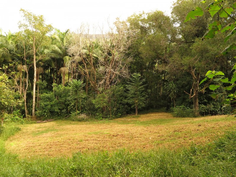 79 Mill Road, Huonbrook NSW 2482