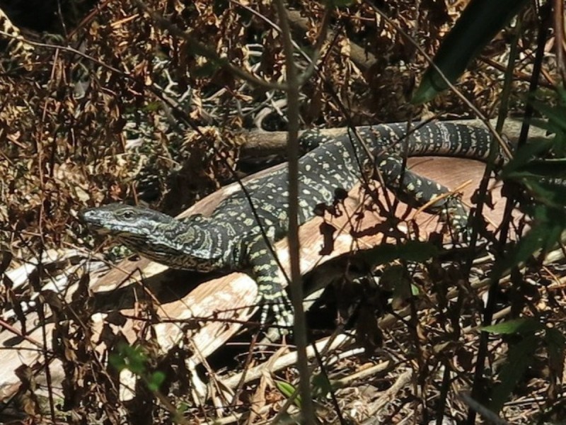 79 Mill Road, Huonbrook NSW 2482