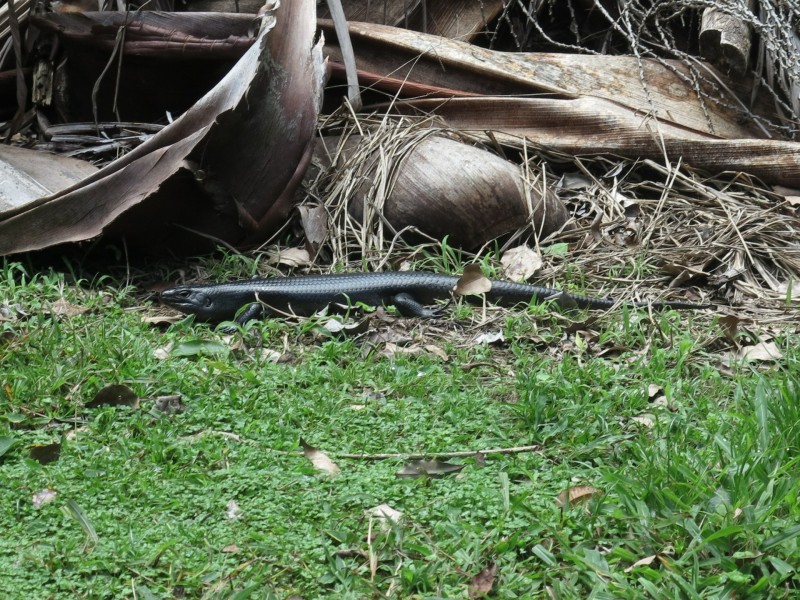 79 Mill Road, Huonbrook NSW 2482