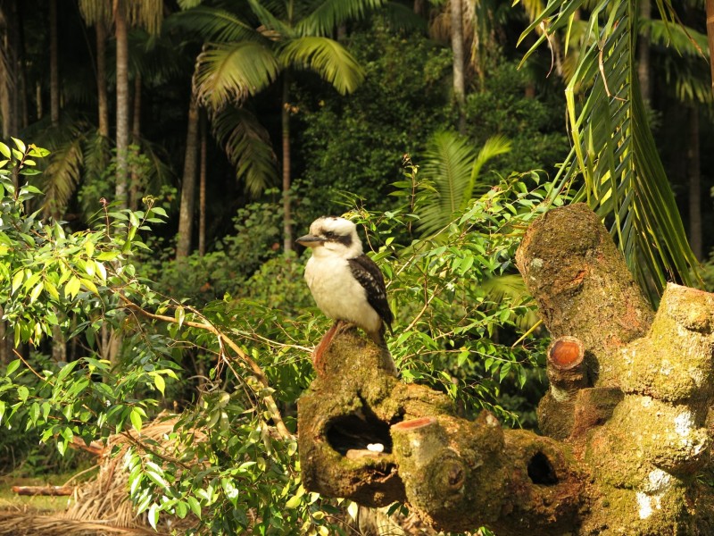 79 Mill Road, Huonbrook NSW 2482