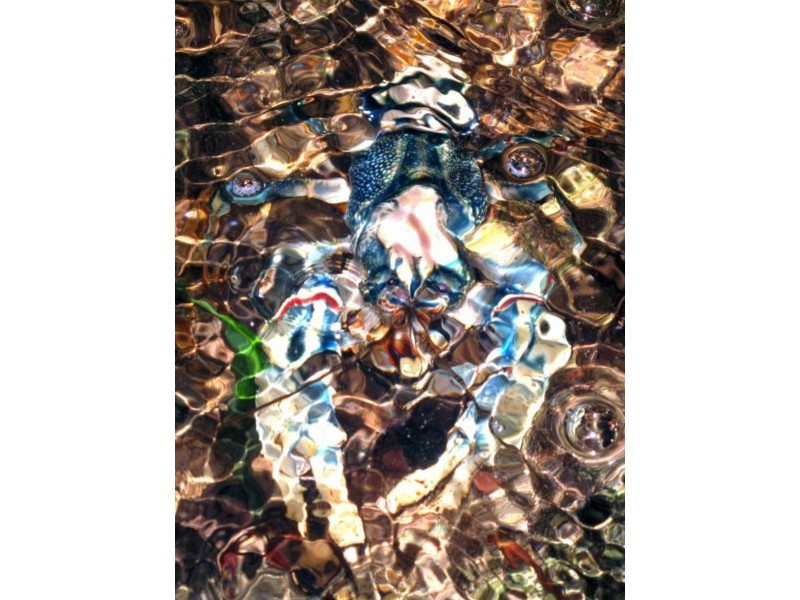 79 Mill Road, Huonbrook NSW 2482