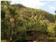 79 Mill Road, Huonbrook NSW 2482