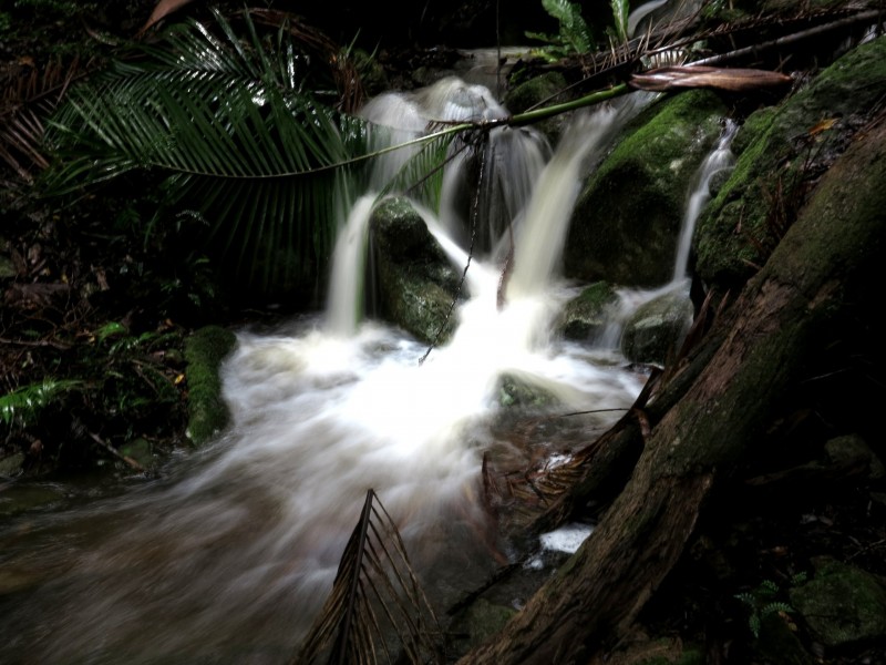 79 Mill Road, Huonbrook NSW 2482