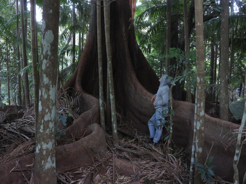 79 Mill Road, Huonbrook NSW 2482